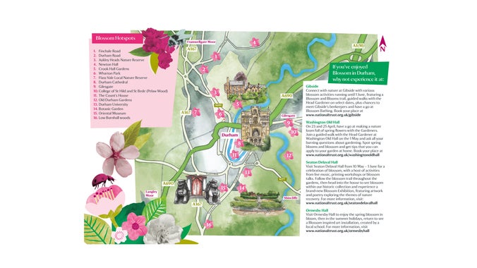 Map of Durham showing blossom icons over key areas to see blossom.